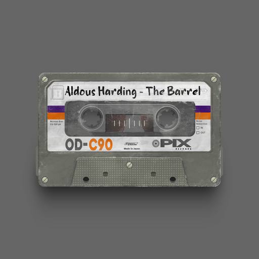 03955 - Aldous Harding - The Barrel